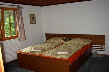 Avstrija Privát Leogang, Eksterier